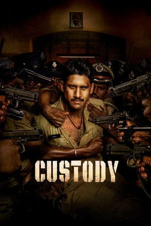 Custody 2023 Hindi Dual Audio HD Poster Download - filmyfly