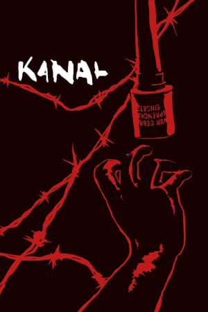 Kanal 2015 Hindi Dual Audio 450MB HD Poster Download - filmyfly