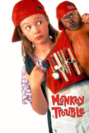 Monkey Trouble (1994) 110MB Dual Audio[Hindi] HD Poster Download - filmyfly