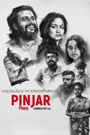 Pinjar 2026 Hindi Line HQ HD Poster Download - filmyfly