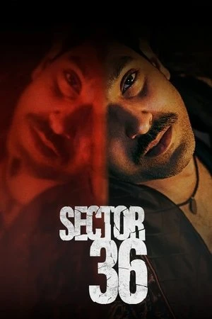 Sector 36 2024 Hindi Dual Audio HD Poster Download - filmyfly